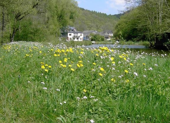 Pulgersmühle