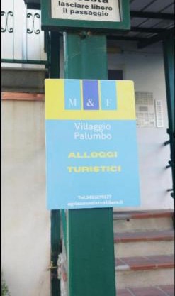 Pungitopo