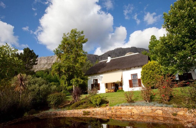 Pure indulgence on an olive farm surrounded by fynbos nature and vineyards