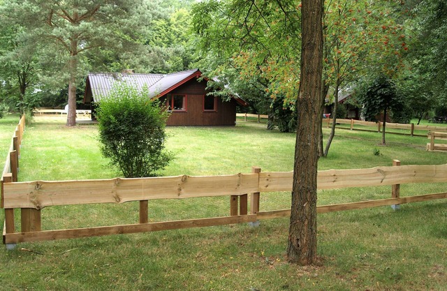 Pure relaxation: Holidays with children and dogs in nature
