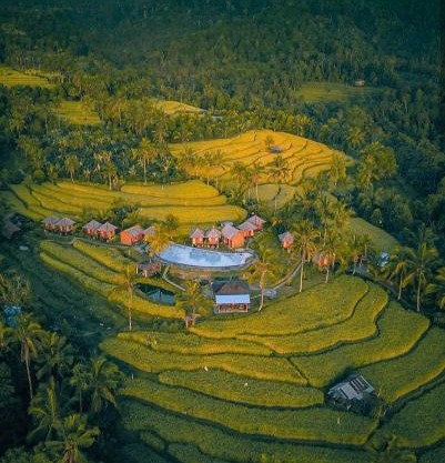 Puri Sunny Camp
