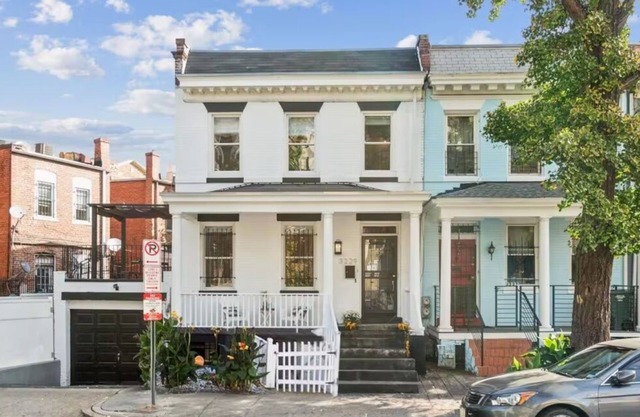 Purrfectly Cozy Cat-Themed Retreat in Columbia Heights