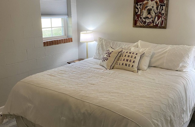 Quaint Basement Apartment within walking distance to MSU!