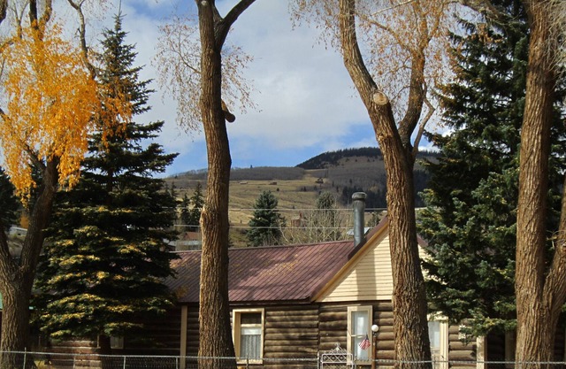 Quaint Cabin in Creede