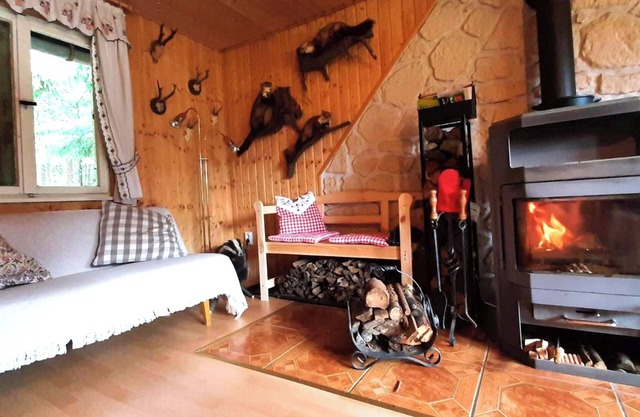 Quaint vacation home on the Rennsteig - sauna & fireplace! With Thüringer WaldCard All Incl.