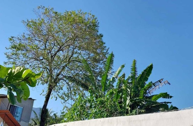 Quarto Para Grupo até 4 Pessoas Praia da Maranduba Ubatuba Sp