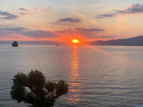 Queen'Sunset Appartement