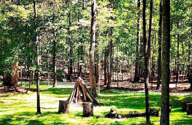 Quiet Cabin Retreat Near Serenbe