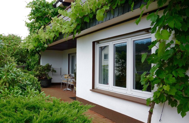 Quiet charming apartment overlooks the vineyards!