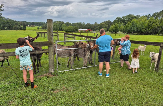 Quiet Country Getaway in Horse County Close to Ocala/Gainesville, Pet Friendly!