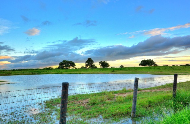 Quiet Escape on a South Texas Ranch 2BR Cabin house sleeps up to 3 adults