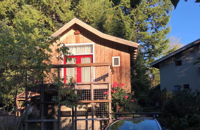 Quiet Forest Retreat halfway between Portland and Cannon Beach