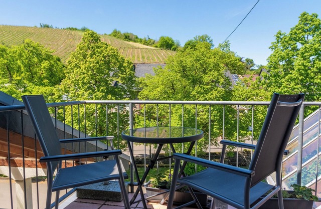 Quiet living at the winegrower's with a view of the vineyards - own restaurant