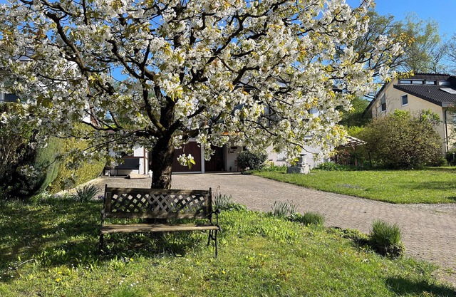 Quiet vacation apartment, not far from the Affenberg, ideal for hiking and cycling