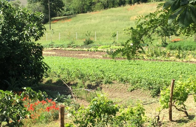 Quiet vacation apartment in the countryside 2km from the Trebbia river and Bobbio old town