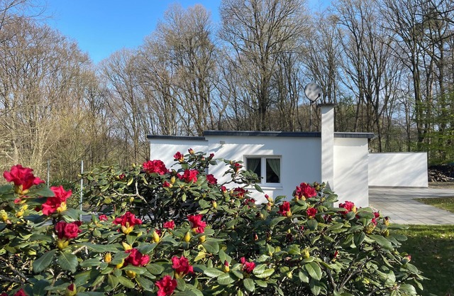 Quiet vacation home for max. 4 people in the most beautiful natural surroundings at the Dhünntalsperre dam