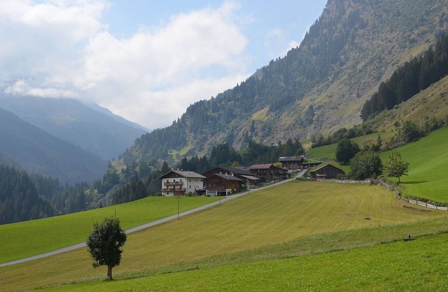 Quiet vacation on the mountain farm