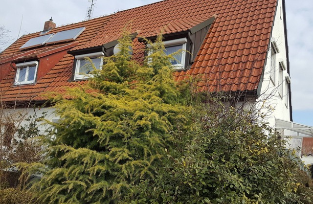 Quietly located semi-detached house with terrace near the forest