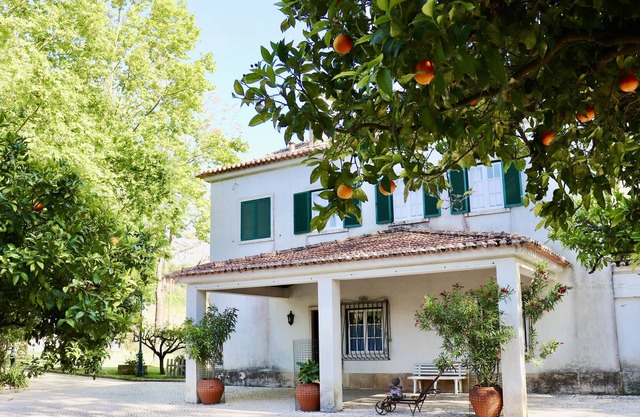 Quinta da Barreira - Exceptional Villa set within a beautiful vineyard