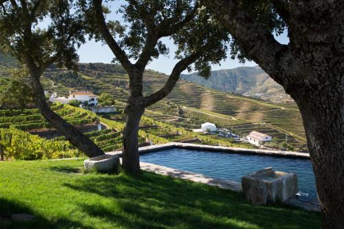 Quinta da Côrte