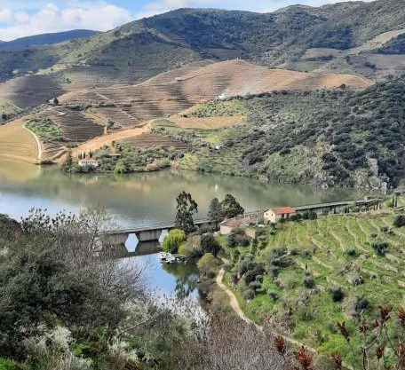 Quinta da Ferradosa Wines