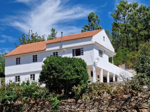Quinta Dos Kiwis