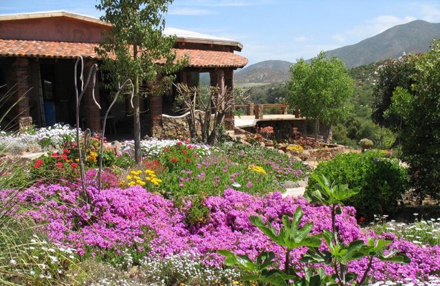 Quinta Maria en la Ruta del Vino