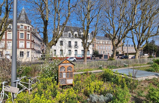 Quintessence appartement chaleureux au cœur de Dieppe