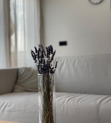 Römer Apartment und Zimmer