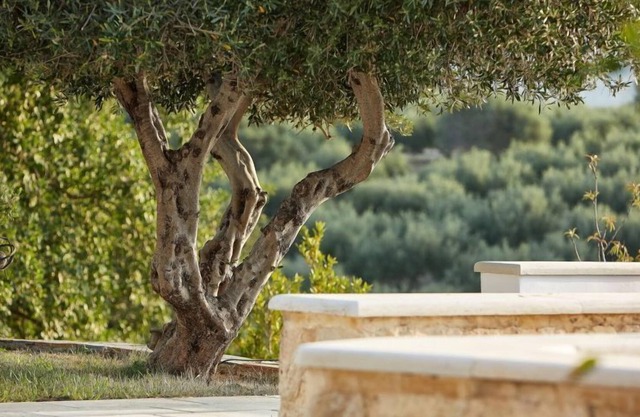 R 854 Villa Large Private Infinity Pool ,Gym ,Vegetable Garden
