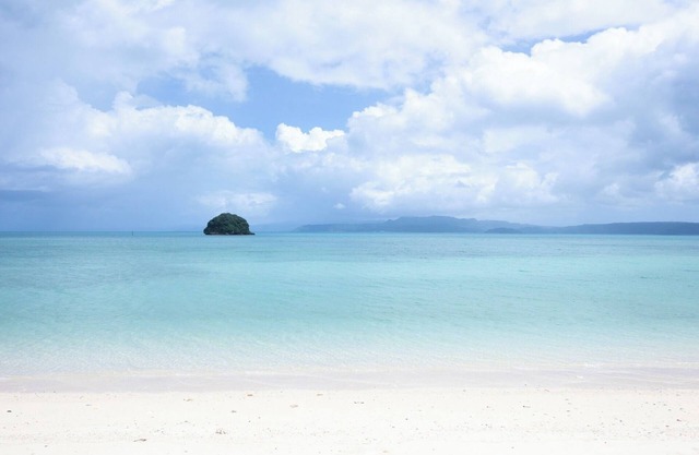 R63AE97 House A /Nago Okinawa