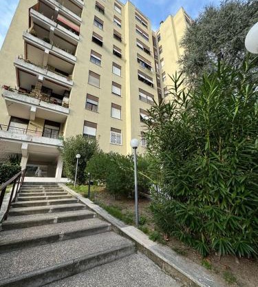 RAHIMA GUEST HOUSE