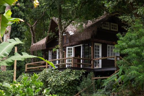 Rain Forest Paradise
