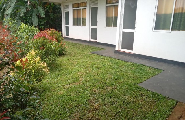 Rainforest Holiday Inn