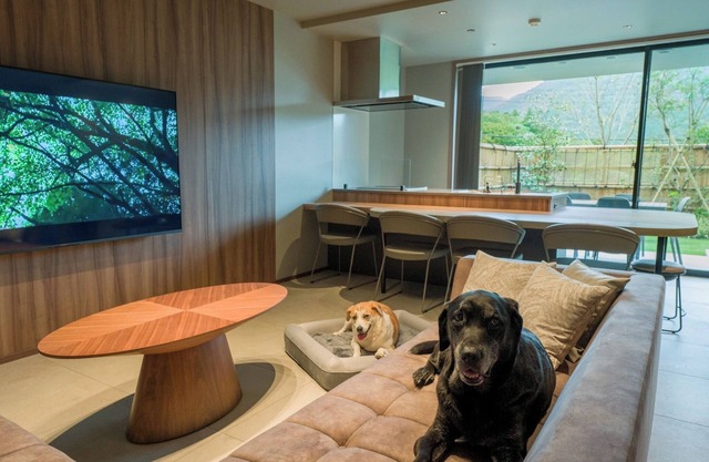 Rakuten STAY TERRACE Hakone Kowakudani D 2 beds raised platform dog friendly/Ashigarashimo-gun Kanagawa
