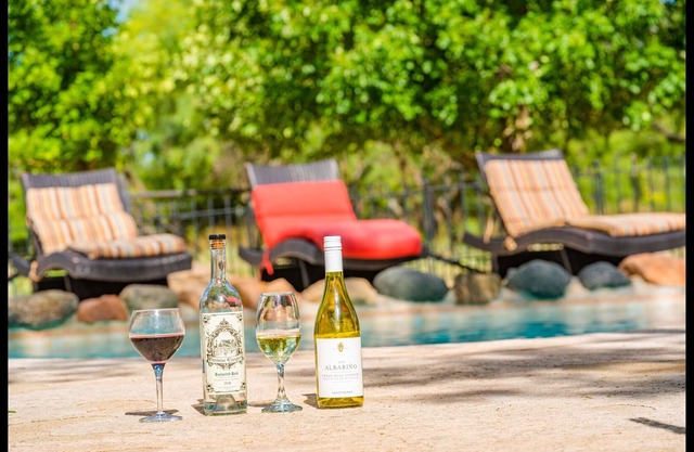 Ranch Villa & Vineyard in the Hill Country
