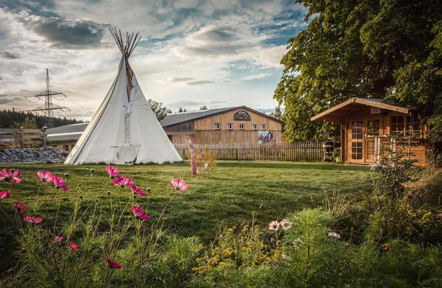 Ranchhouse Bubble - Westernstable - Horse