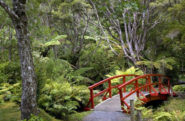 Rapaura Watergardens