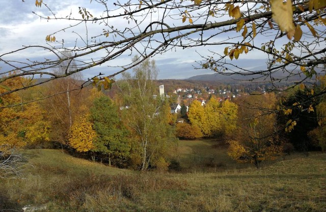 Ravensbergblick - harzlich willkommen in Bad Sachsa
