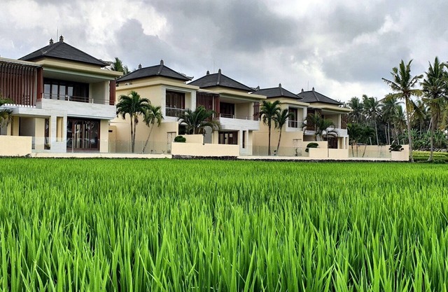 RC Ubud Villa 1 - 3 bedroom private pool villa