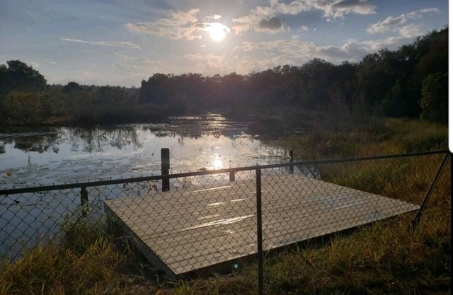 Reality Check/Salt Springs