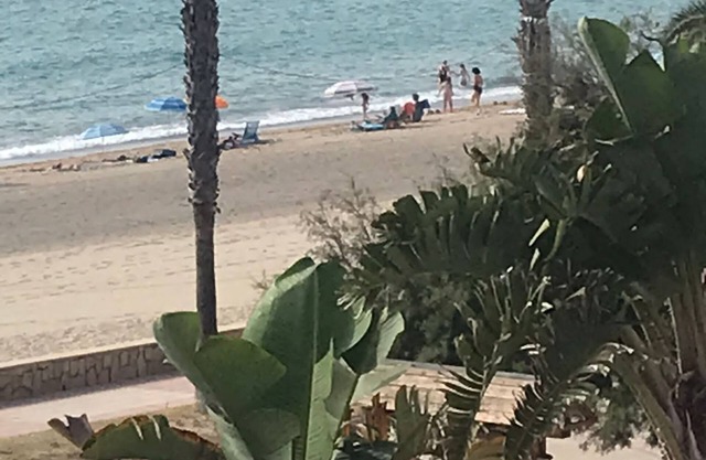 Recreation, Indulgence, Diversion, Sport and Playa
