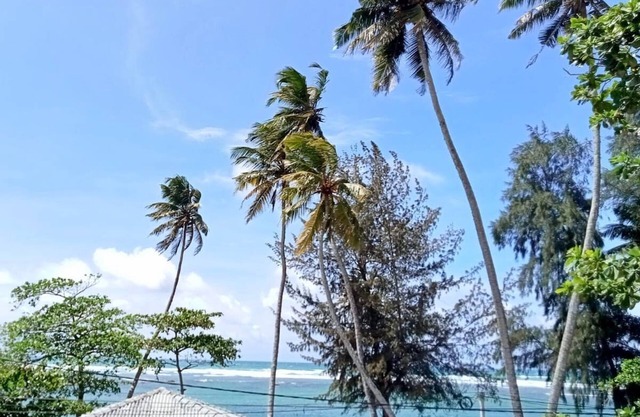 Reef Garden Polhena