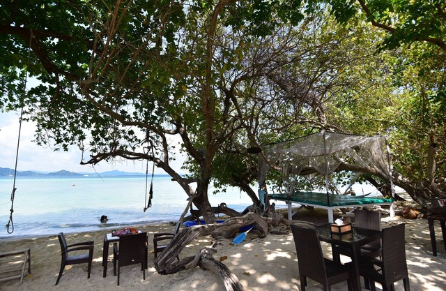 Reef Resort