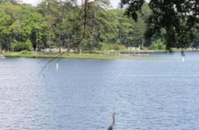 Reel-m-Inn House on big water Lake Murray