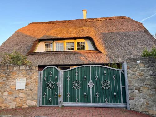 Reet am Rhein - Obere Hälfte