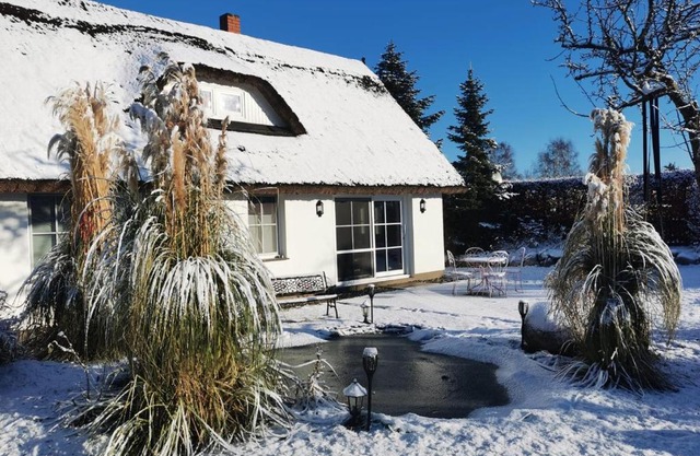 Reetferienhaus - Schaprode Hafen