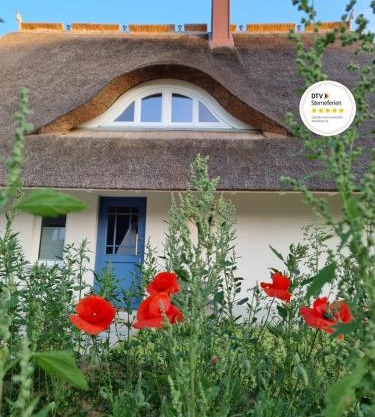 Reetsnacker - Ferienhaus mit Kamin, Sauna und Whirpool für 8 Personen