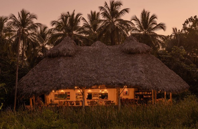 Regenerative tropical lodge with chic details , steps away from the beach.