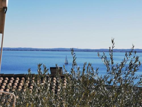 Relax al Porto - 180 degrees of exciting Garda lake views
